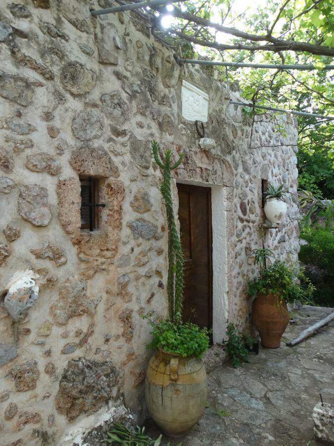 Nikos House Apartment Zakros Luaran gambar