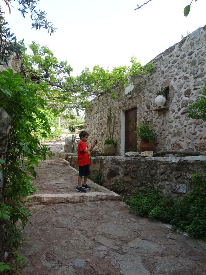 Nikos House Apartment Zakros Luaran gambar